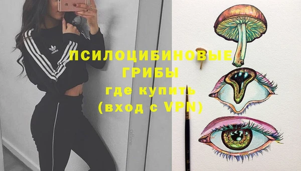 стафф Баксан