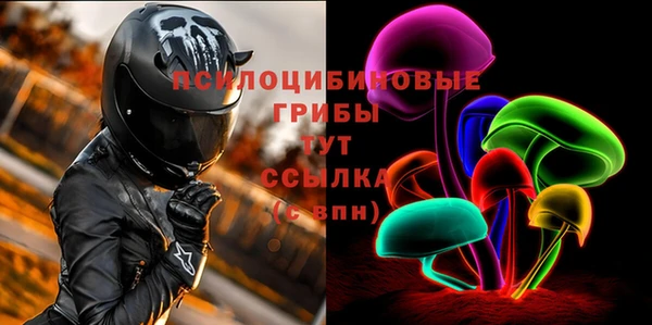 стафф Баксан